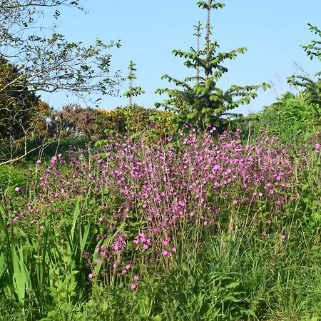 Shepherd'S Loch Glamping Turriff Exterior foto